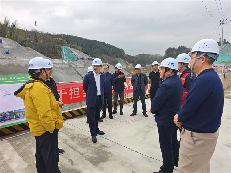 3月27日，縣長王奇勇帶隊調(diào)研防洪工程項目建設情況，黃山徽投集團黨委書記、董事長洪筱明，副總經(jīng)理張高峰陪同調(diào)研。.jpg