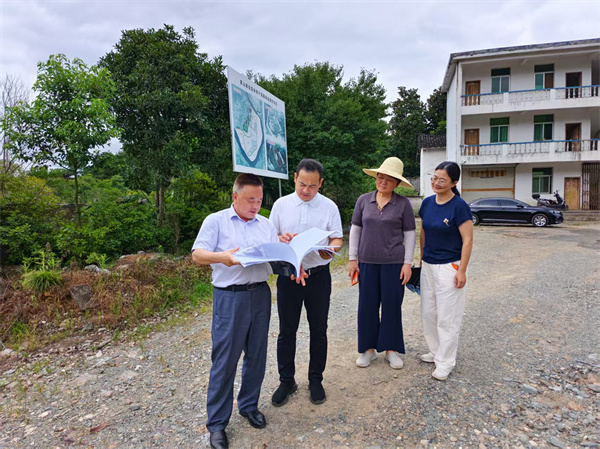 7月11日，洪董陪同縣委王坤副書(shū)記一行調(diào)研斯干苗圃.jpg
