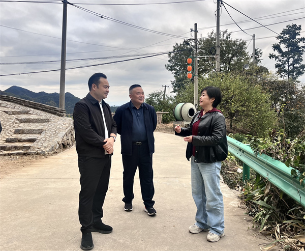 11月5日，縣委副書記王坤調(diào)研上豐和美鄉(xiāng)村建設(shè)情況，洪董、吳書記陪同調(diào)研。.jpg