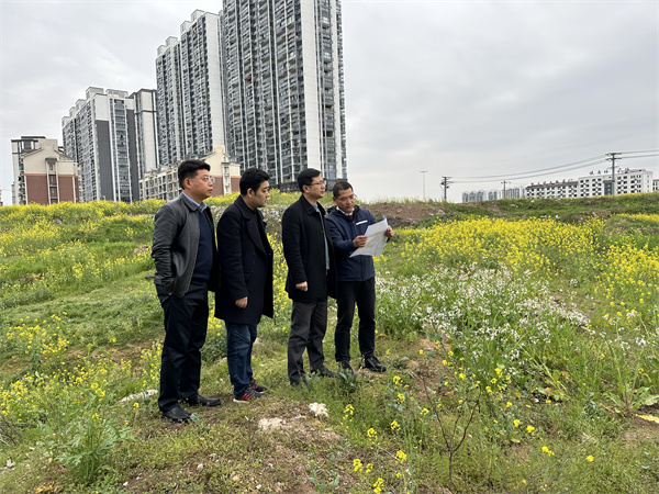 3月29日，張總陪同汪盛縣長調(diào)度揚(yáng)之學(xué)校征地.jpg