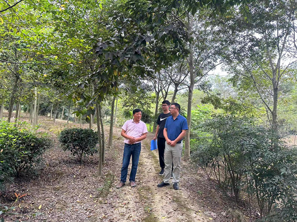 開展苗圃檢查  完善苗木臺(tái)賬1_副本.jpg